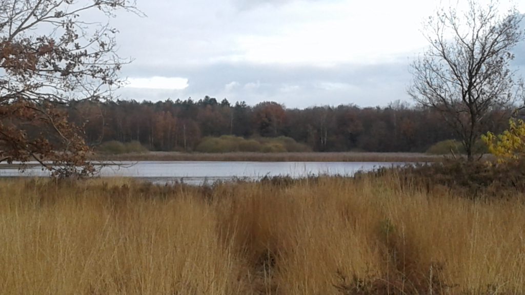 20161127_144932