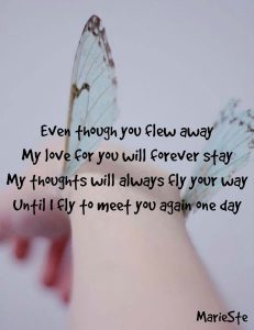 Quotes 008