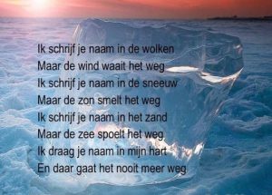 Quotes 013