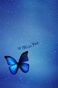 Quotes 028