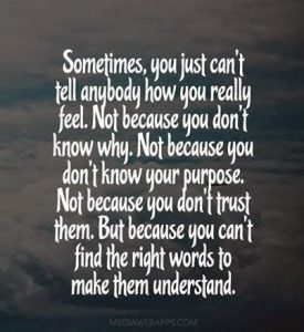 quotes (15)