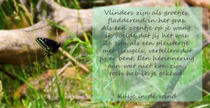 quotes (20)