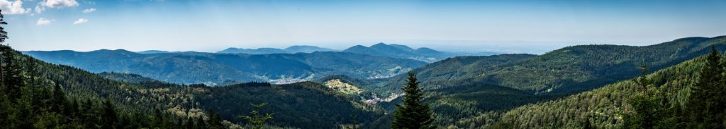 Trip Duitsland (zwartwoud) 043
