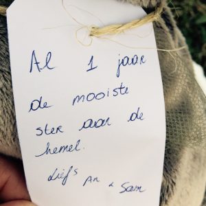 an-sam