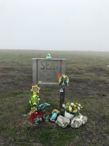 IMG_4352