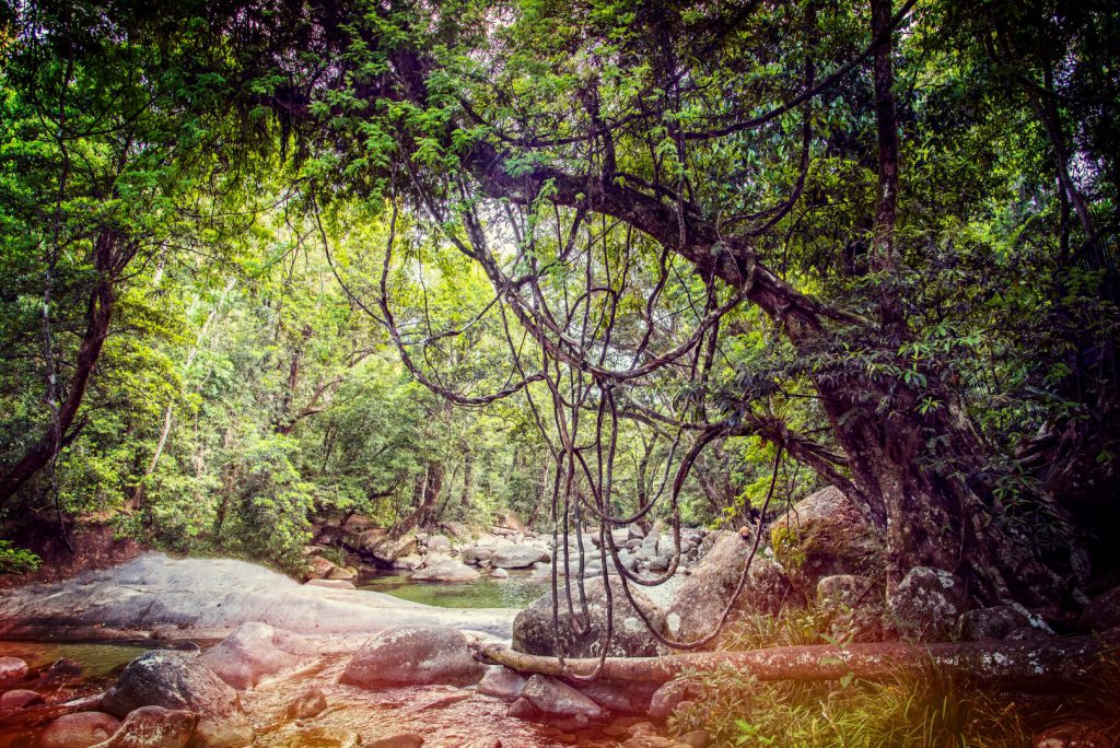 _0ph6906-hdr-als-slim-object1