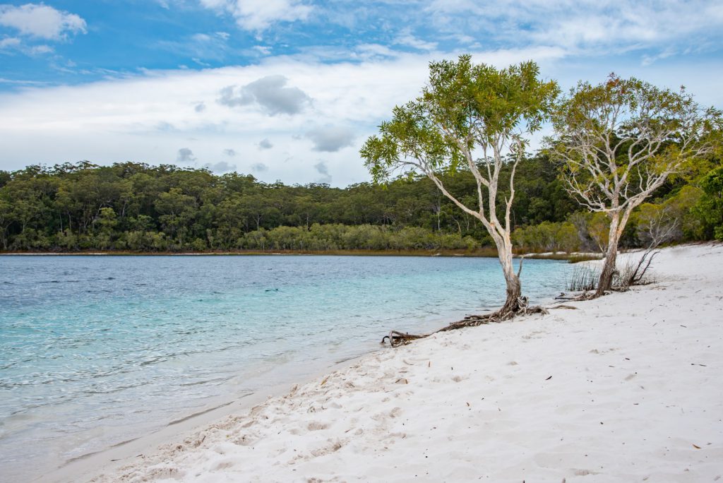 aussie-2016-0735