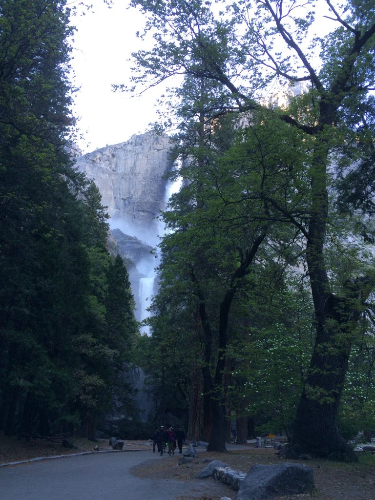 Yosemite (1)